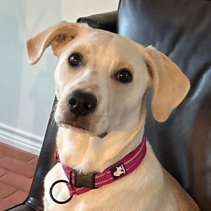 Meet your Posher, Hope